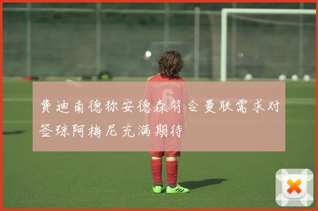 费迪南德称安德森符合曼联需求对签琼阿梅尼充满期待