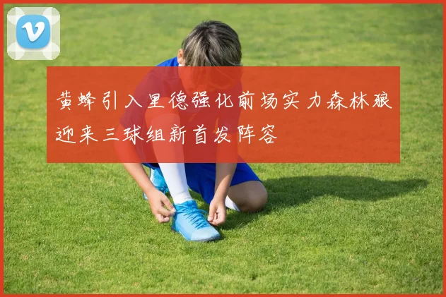 黄蜂引入里德强化前场实力森林狼迎来三球组新首发阵容